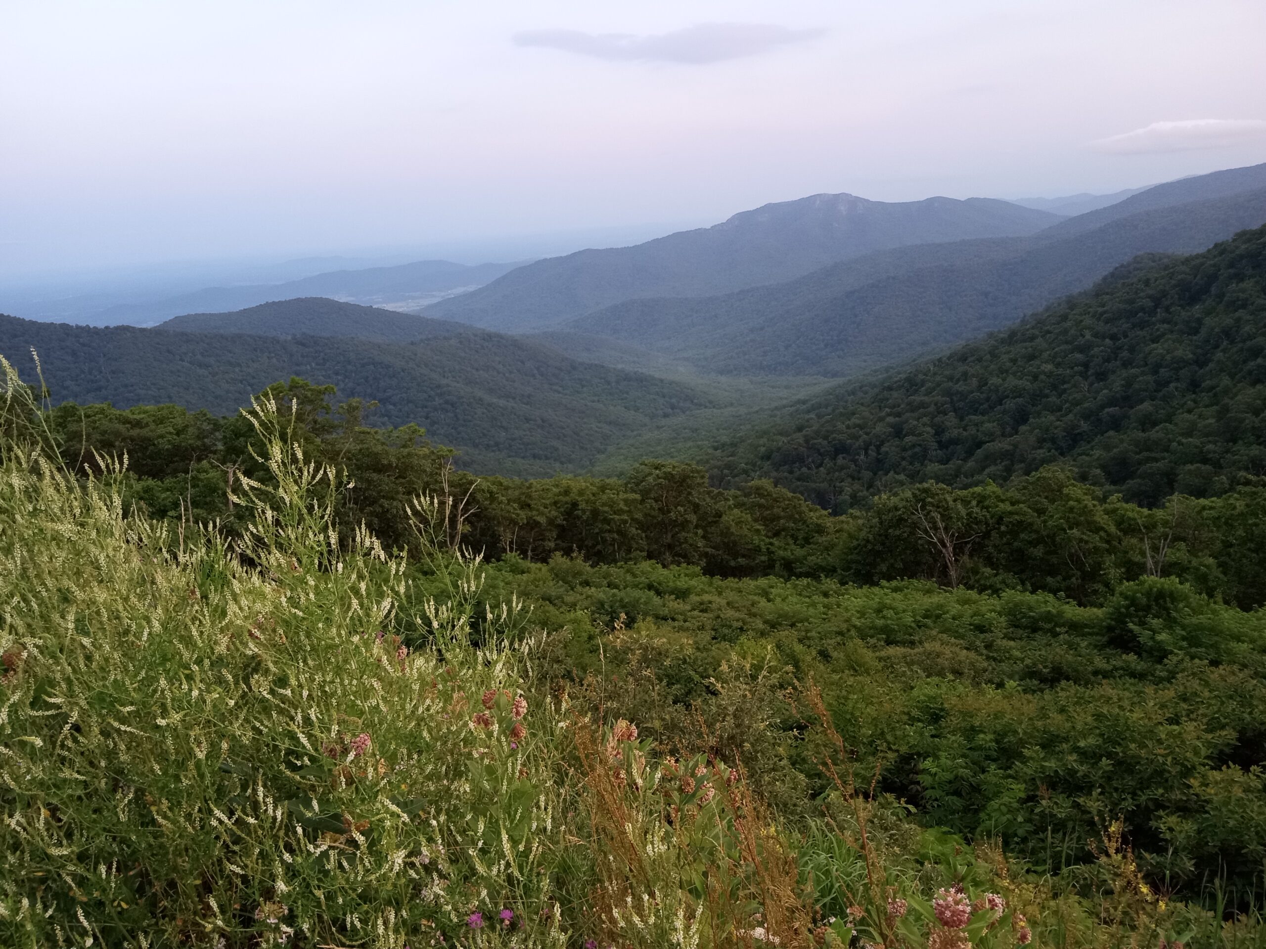 View from Skyline Drive